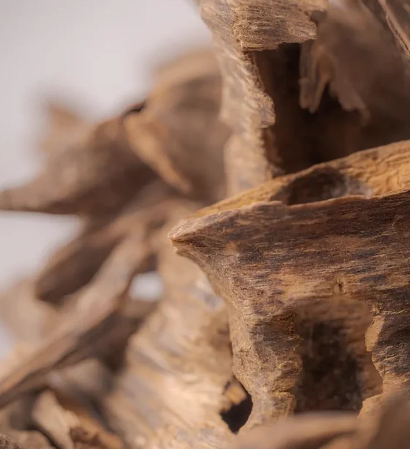 Kynam Oud – Eighth Tola