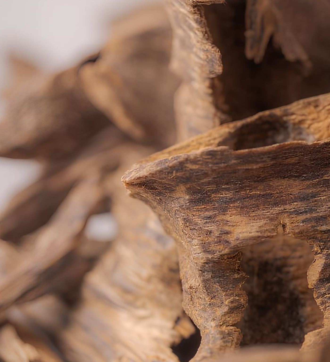 Kynan Oud – 3 Ounces