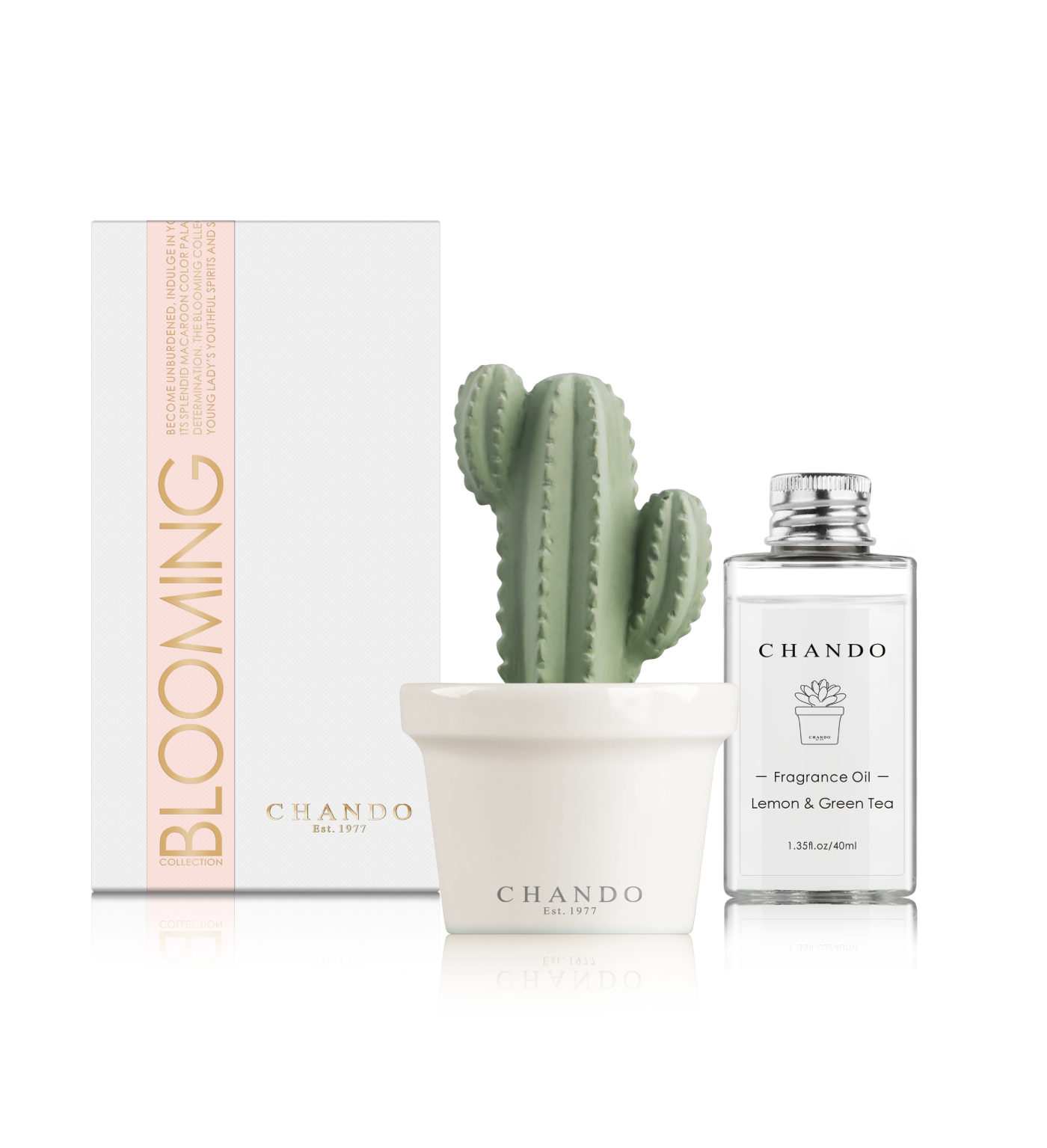 Succulent Bestfriend