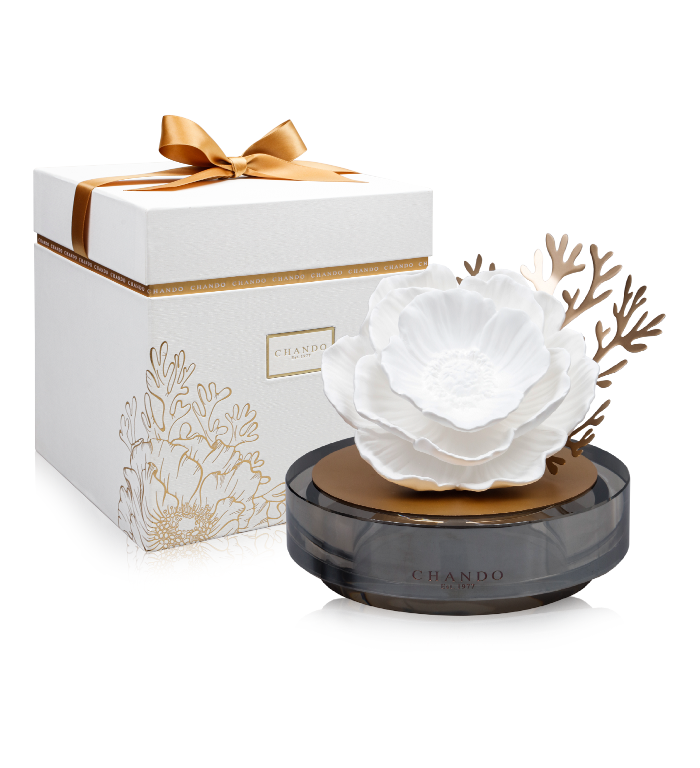 Seaside Dream Blossoms