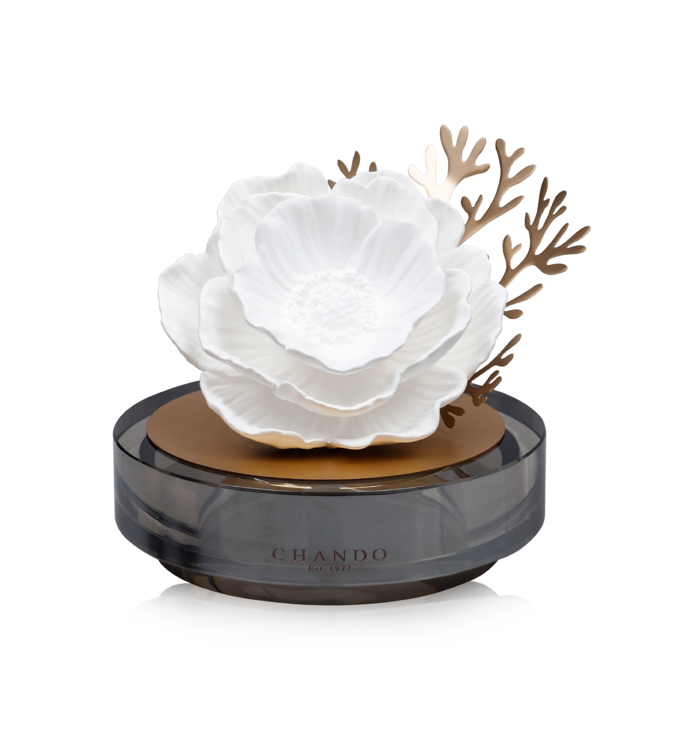 Seaside Dream Blossoms