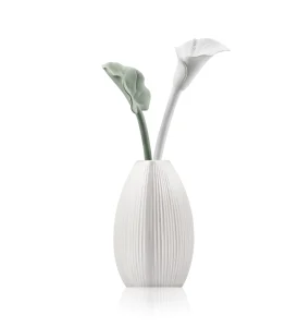 Sleeping Lily Purity